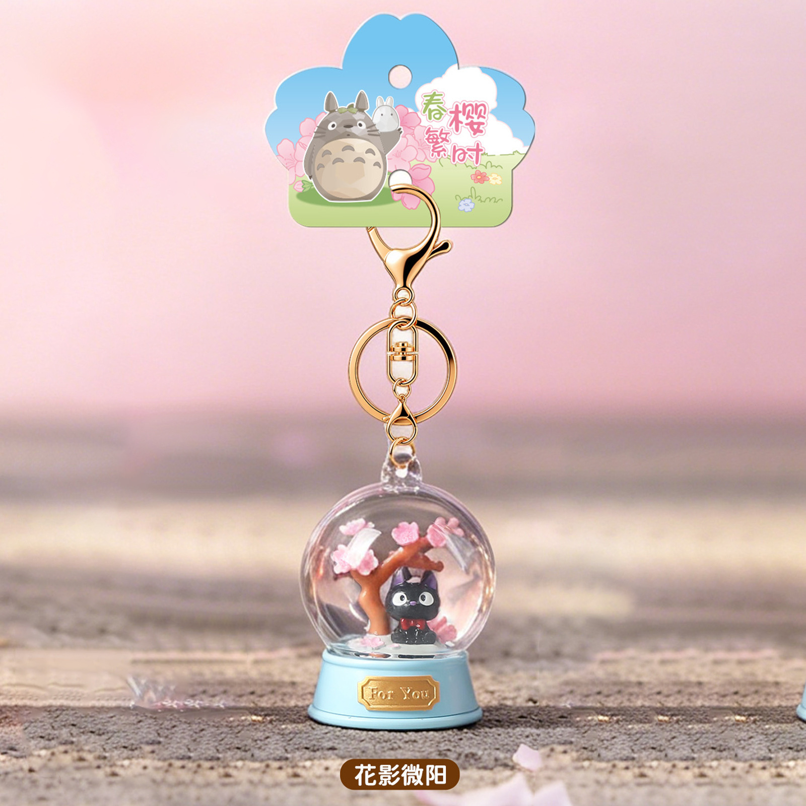 Portachiavi a Sorpresa Hayao M - Resin Art Case recensione e prezzo