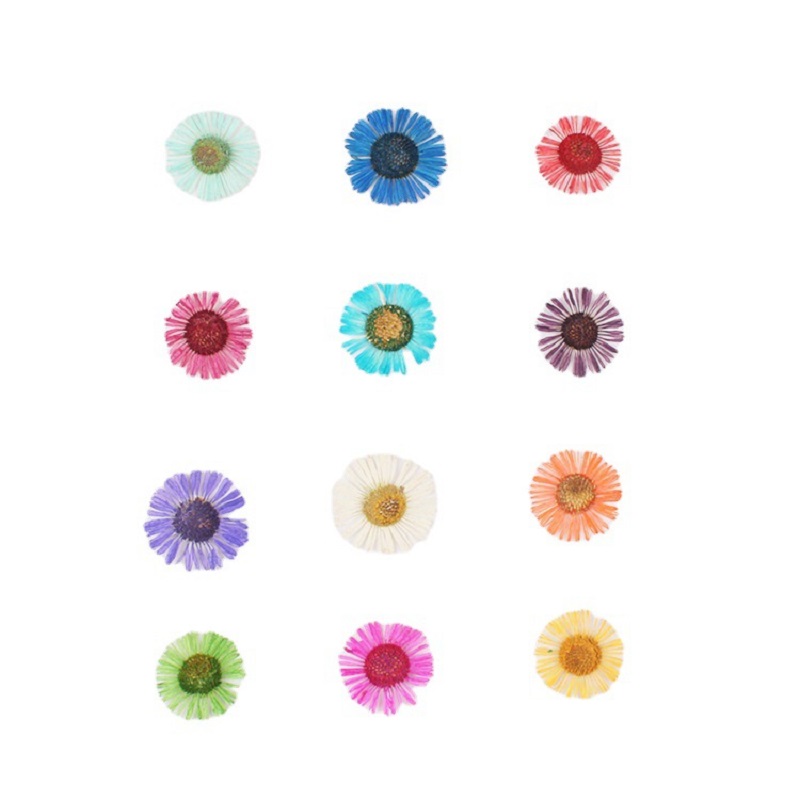 1 Set di Fiori Pressati Essicc - Resin Art Baby recensione e prezzo