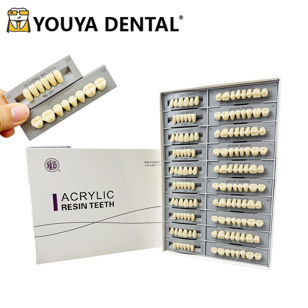140 pezzi/scatola Modello dida - Resin Art Case recensione e prezzo