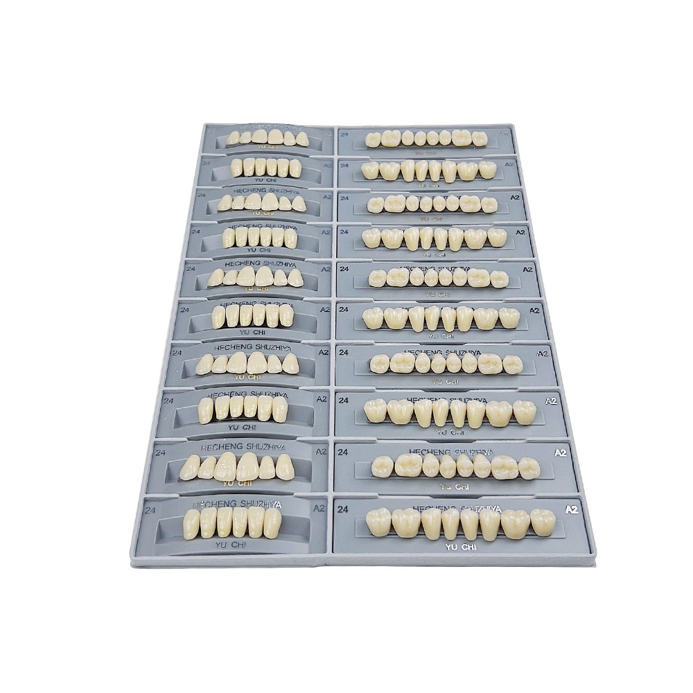 140 pezzi/scatola Modello dida - Resin Art Case recensione e prezzo