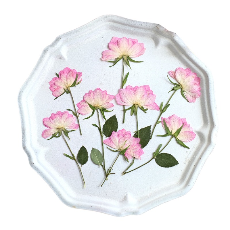 12 pezzi, Fiori Pressati Essic - Resin Art Baby recensione e prezzo